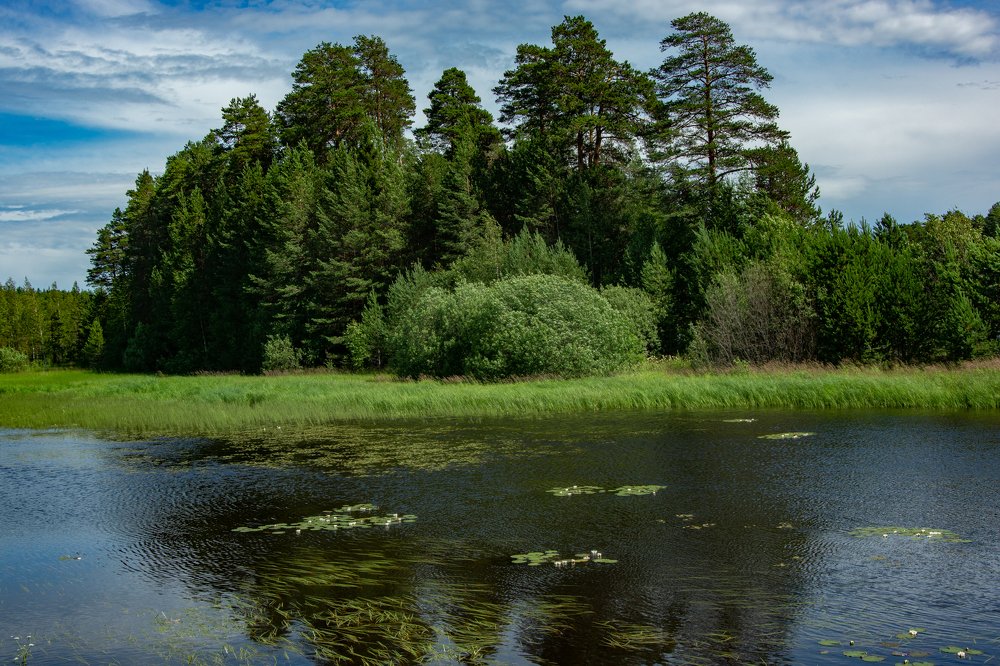 Фотография автора Вадим Топычканов