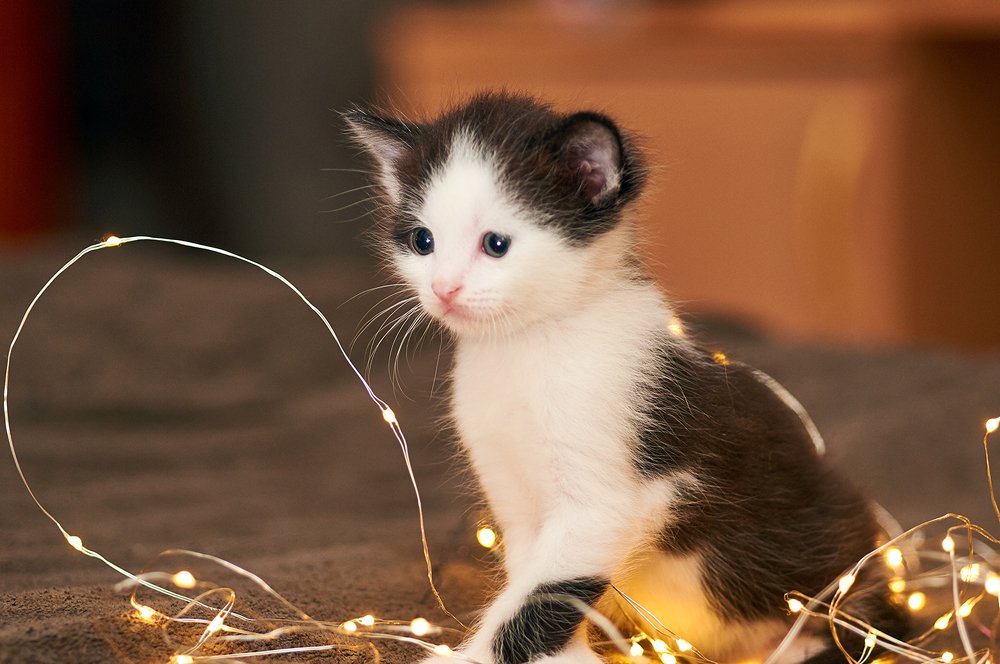 Photograph by Иван Королевский