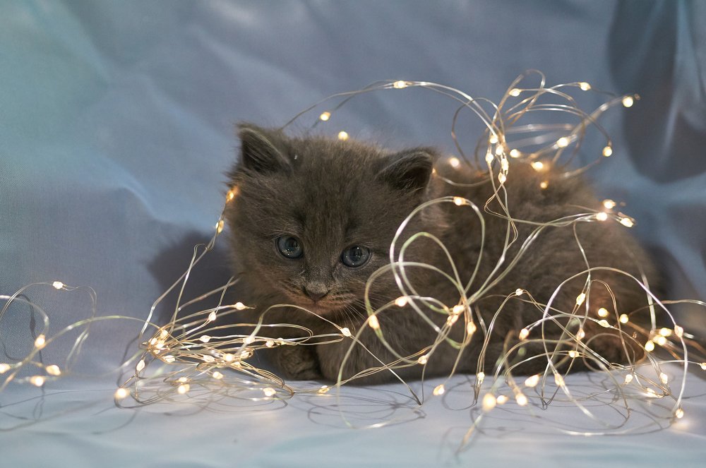 Photograph by Иван Королевский