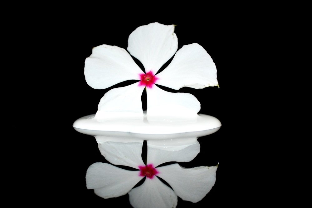 Фотография автора Yako Laverde