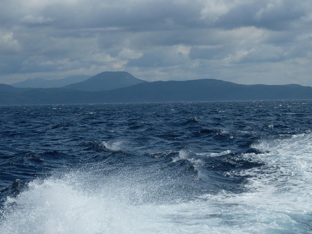 Этюд в голубых тонах