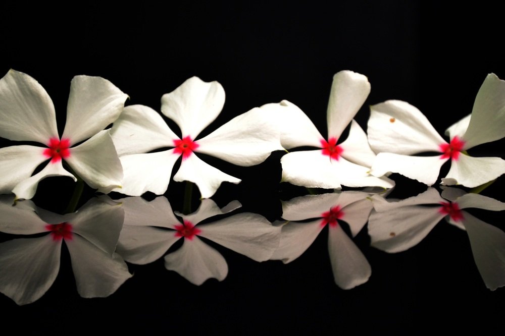 Фотография автора Yako Laverde