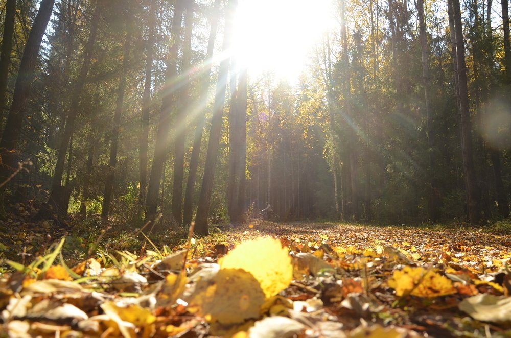 Photograph by Valentina