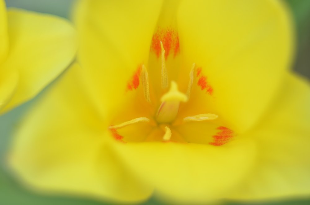 Photograph by Valentina