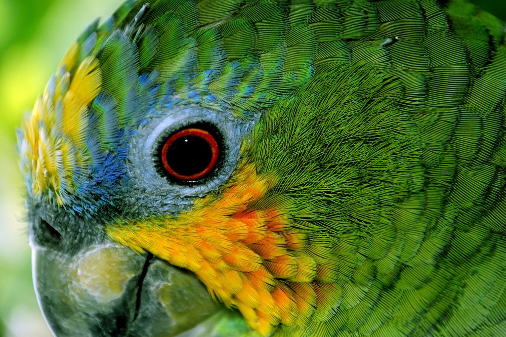 Фотография автора Yako Laverde