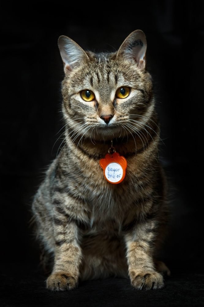 Photograph by Йомка