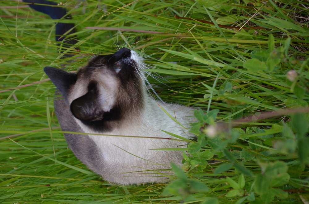 Photograph by Valentina