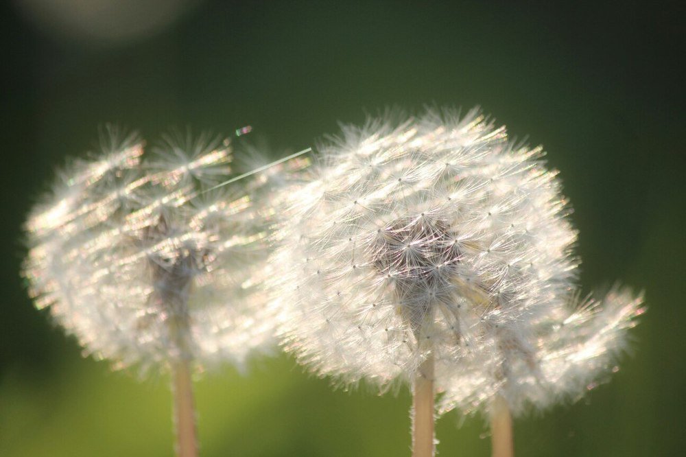Photograph by Елена Верховская