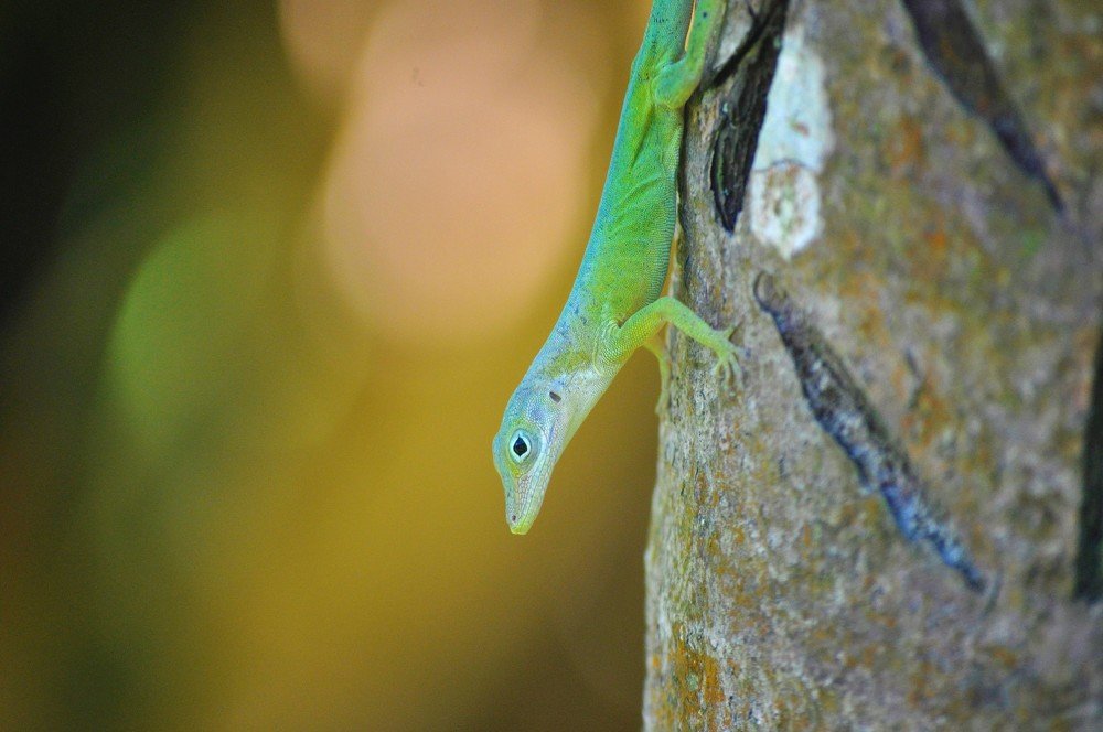 Photograph by stefanini alexis