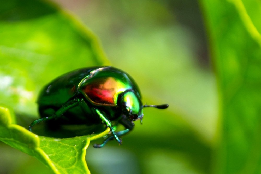 Фотография автора Yako Laverde
