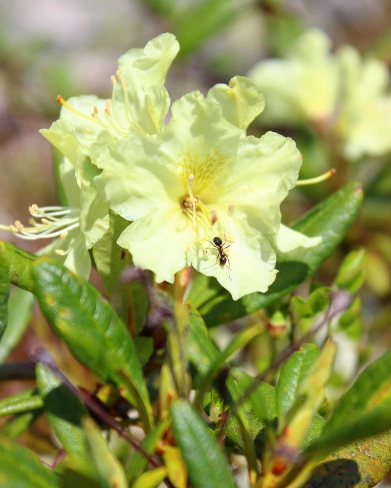 Photograph by Юлия