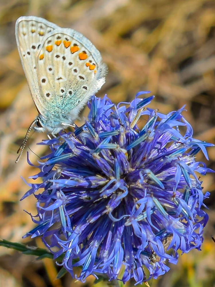 Photograph by Валерий Федяров