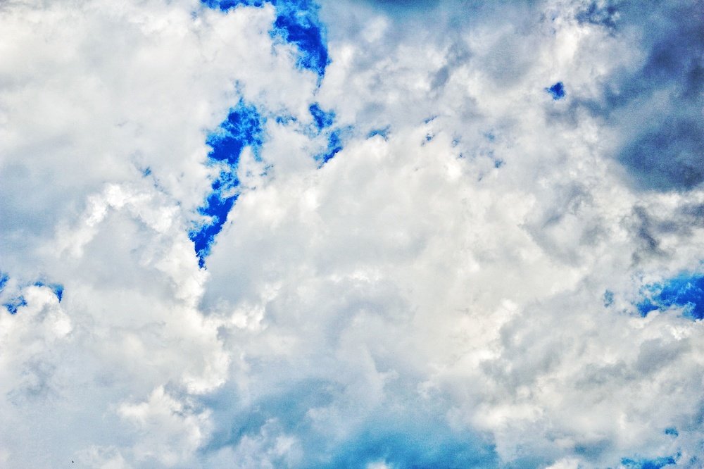 Photograph by Florentina-Adriana Vasilescu