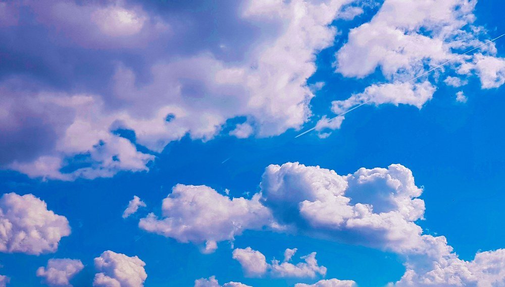 Photograph by Florentina-Adriana Vasilescu