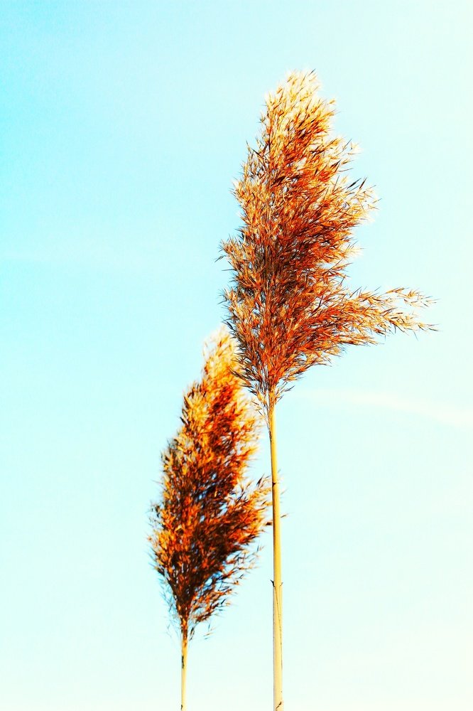 Photograph by Florentina-Adriana Vasilescu