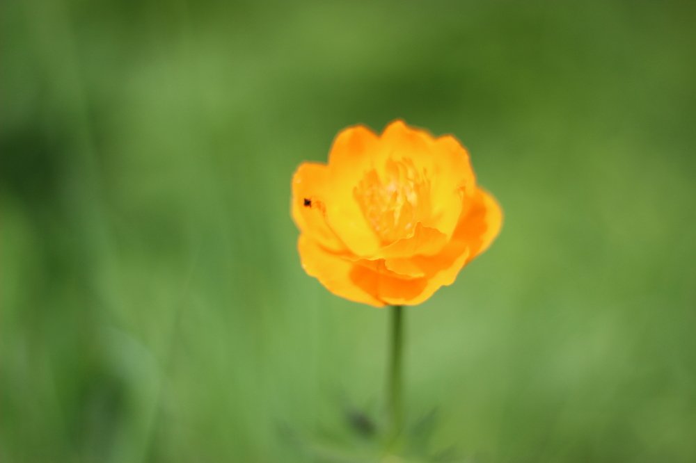 Photograph by Юлия