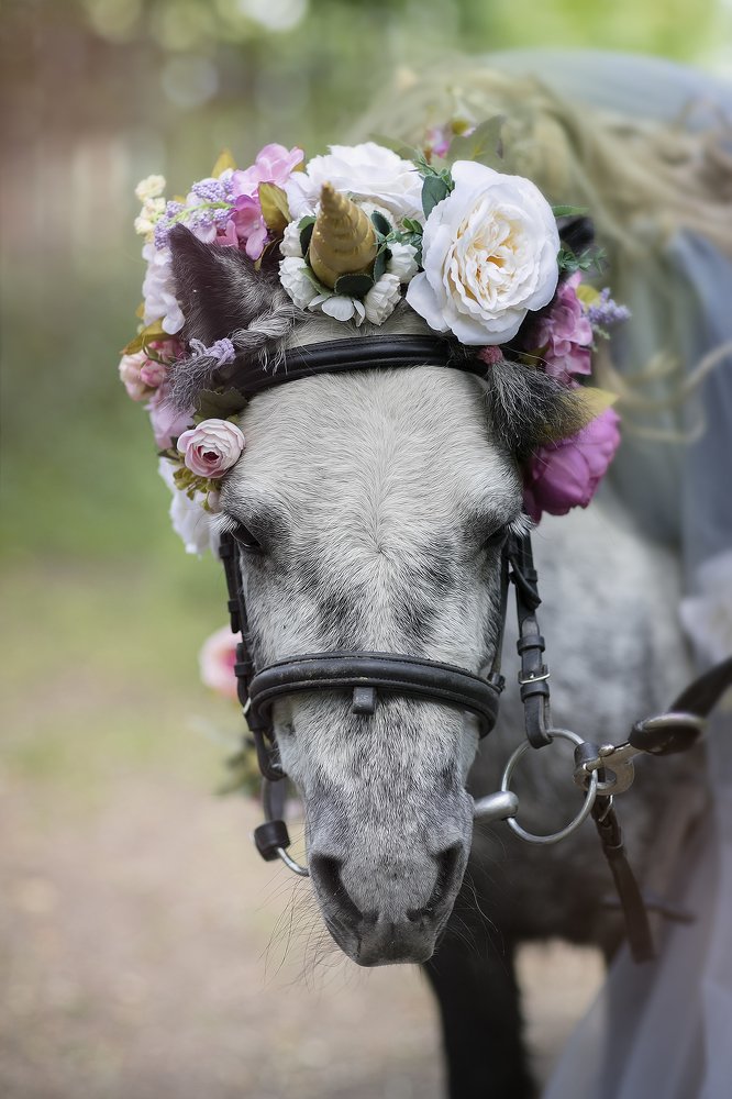 Photograph by Ира Никина