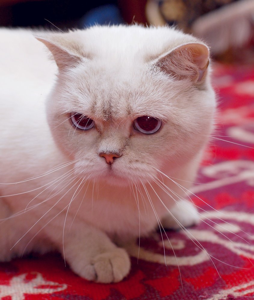 Photograph by Татьяна Зема