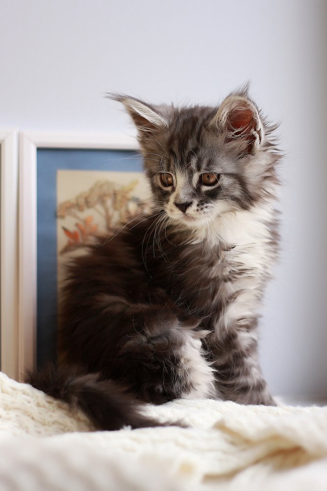 Photograph by Анастасия Мещерякова