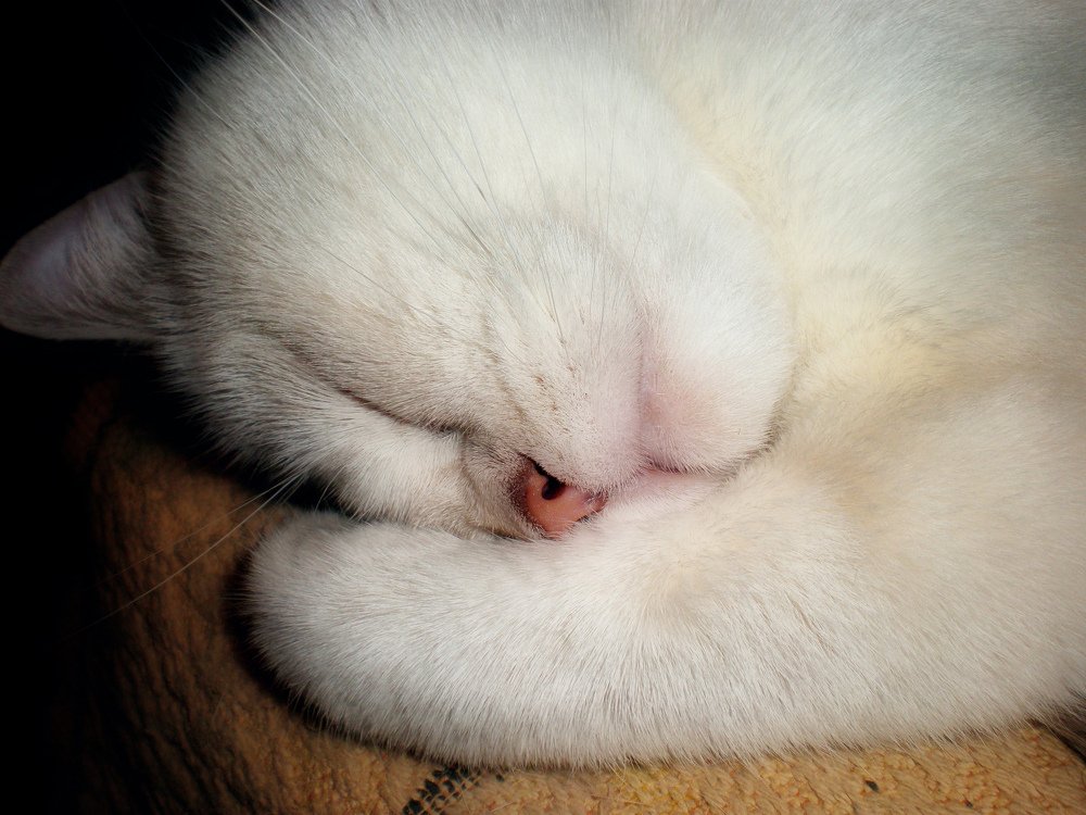 Photograph by Татьяна Зема