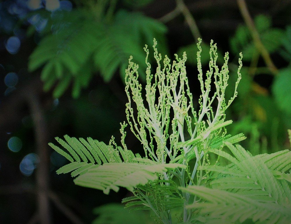 Photograph by Игорь Медянцев