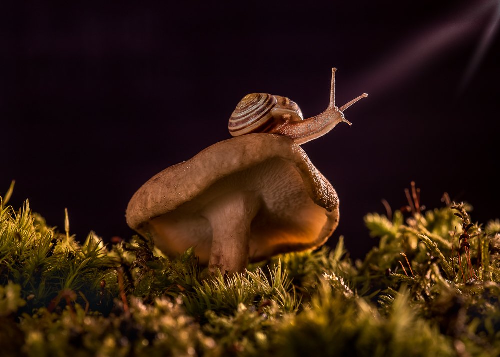 Photograph by Julia Bright