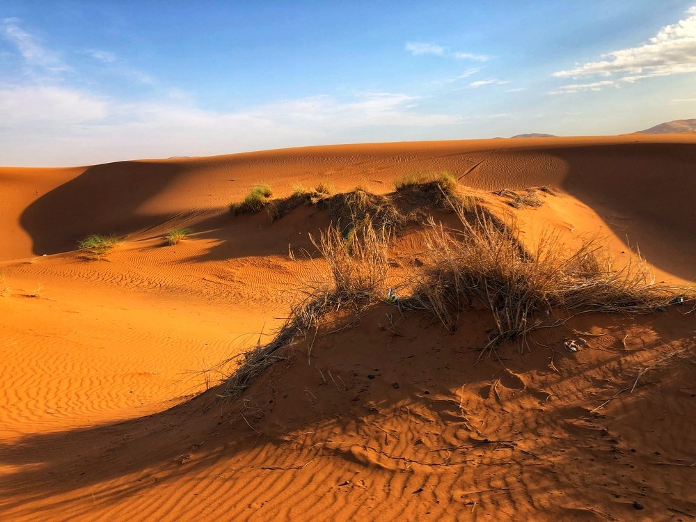 Photograph by Наталья Пирогова