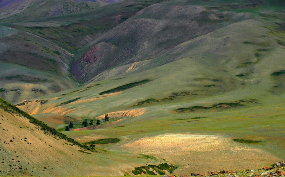 Курайский хребет - детали.