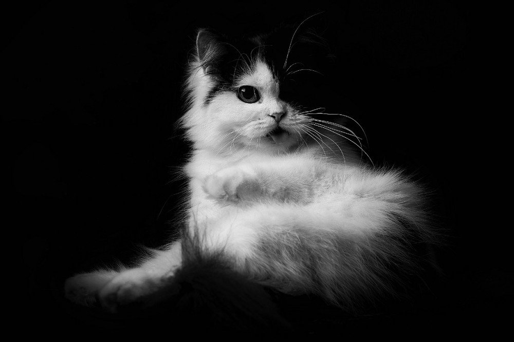 Photograph by Ridwan Read Ridwan