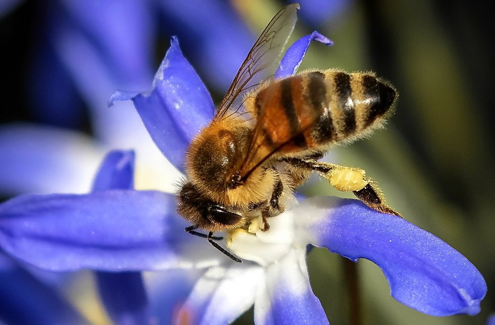 Фотография автора Razgulyaev Aleksandr