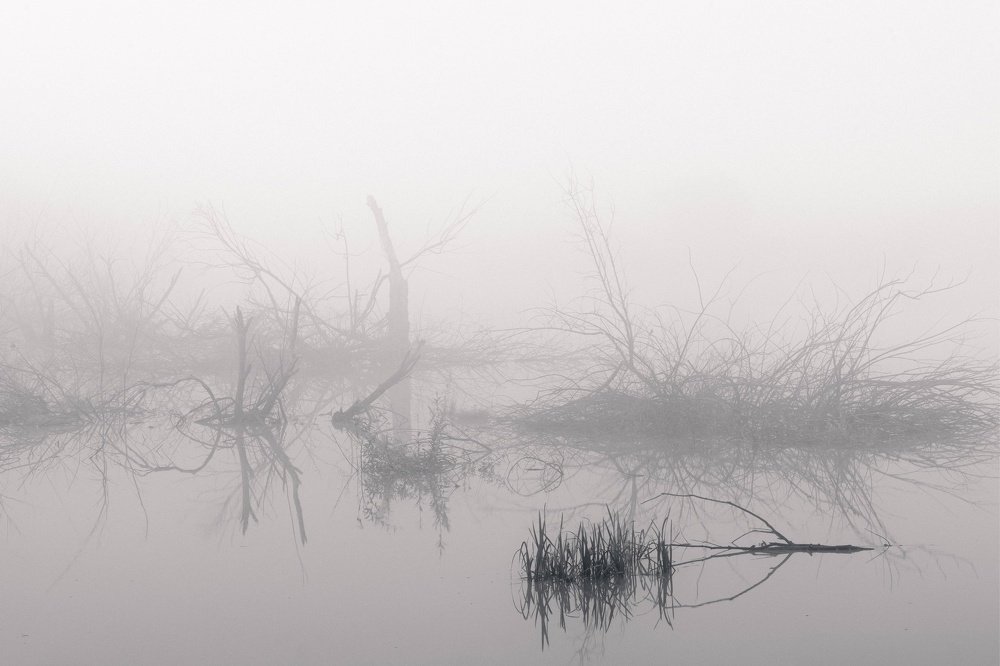 Photograph by Евгений Важенин