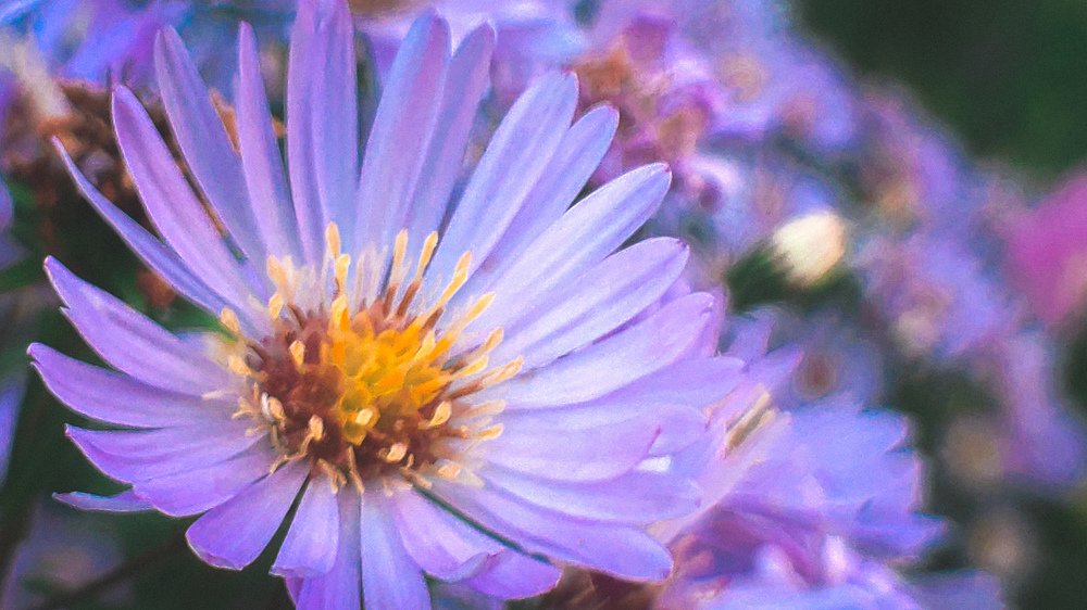 Photograph by Олег Мухачев