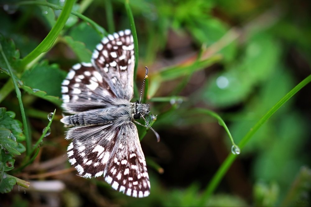 Фотография автора Razgulyaev Aleksandr