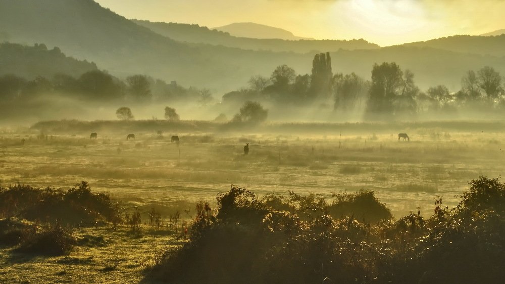 Photograph by Игорь Кузьмин