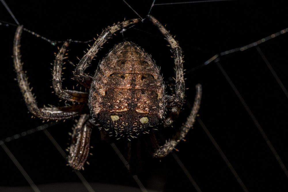 Photograph by Sameer Bhalekar