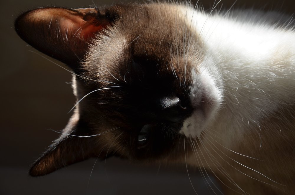 Photograph by Valentina