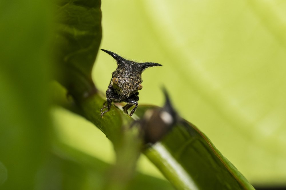 Photograph by Sameer Bhalekar