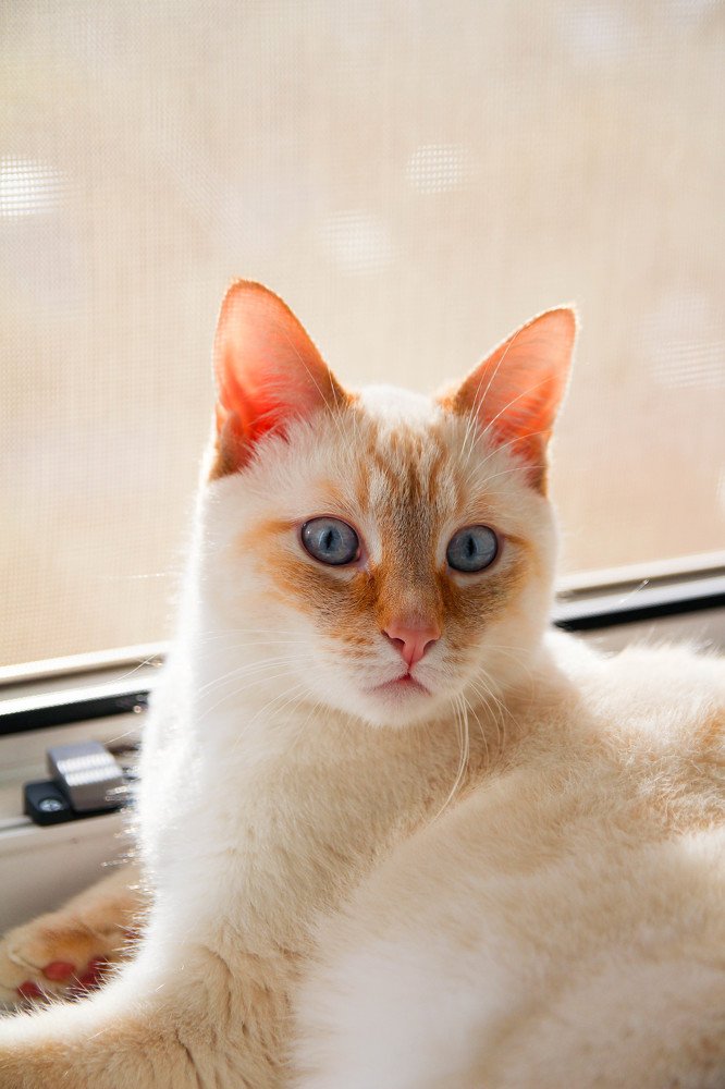 Photograph by Надежда Пидченко