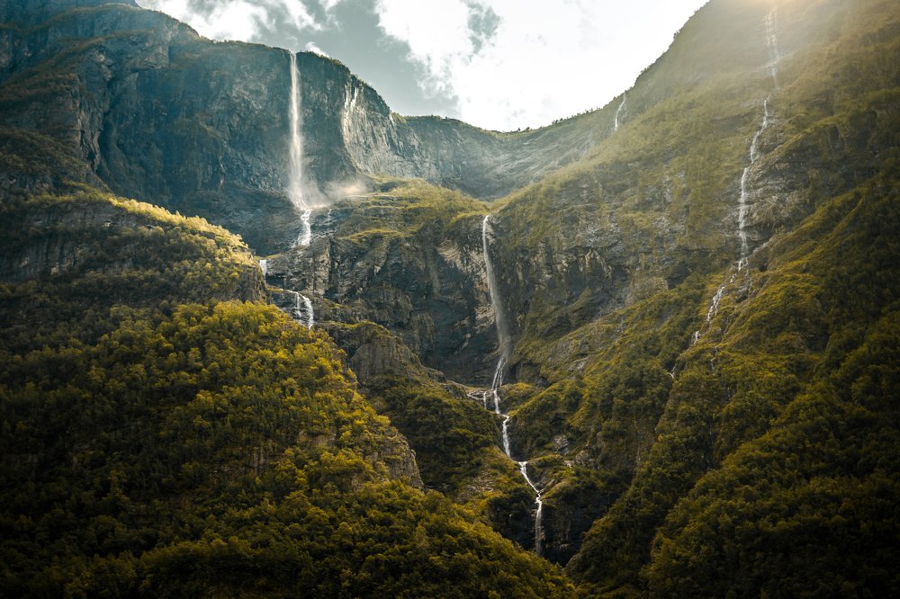 Фотография автора Даниил Третьяков