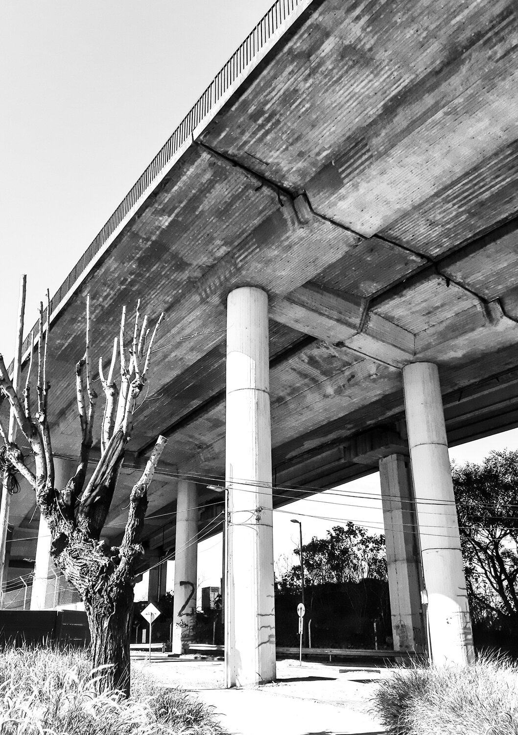 Photo #3571094