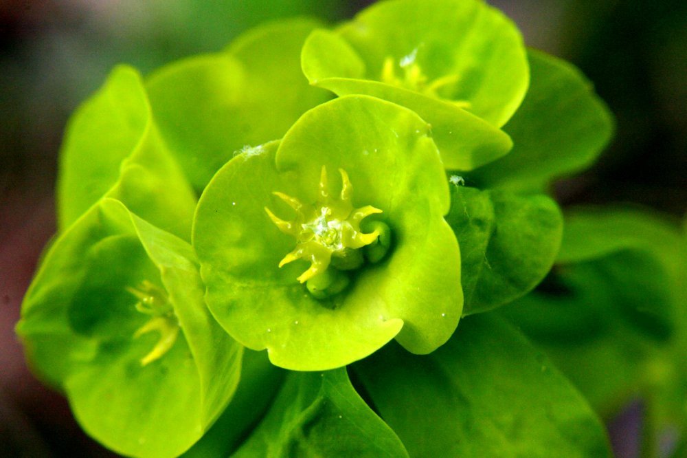 Photograph by Богдан Бигун