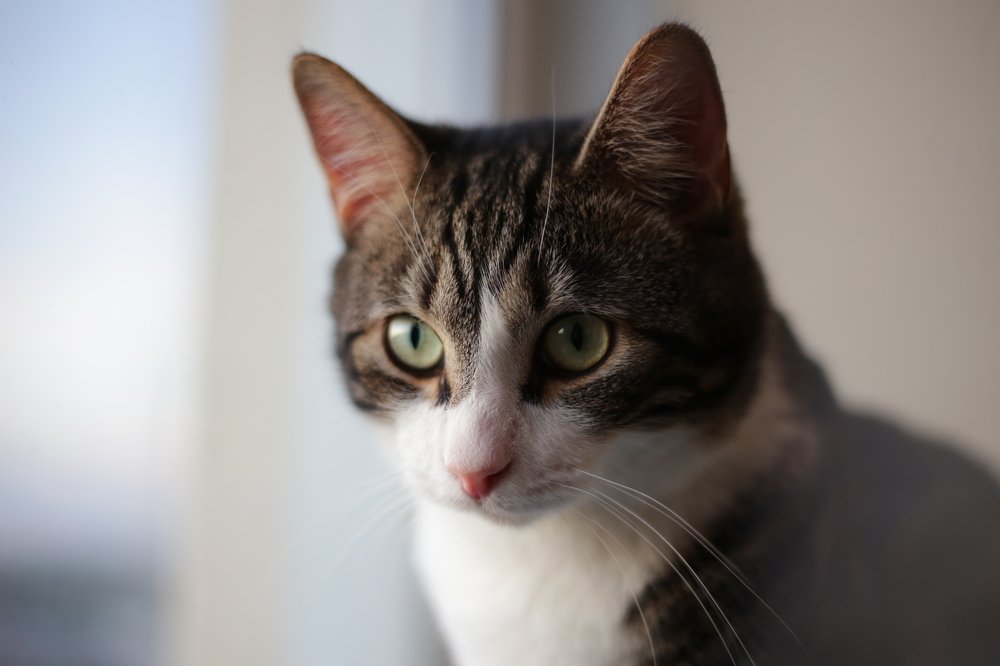 Photograph by Дмитрий Малышев