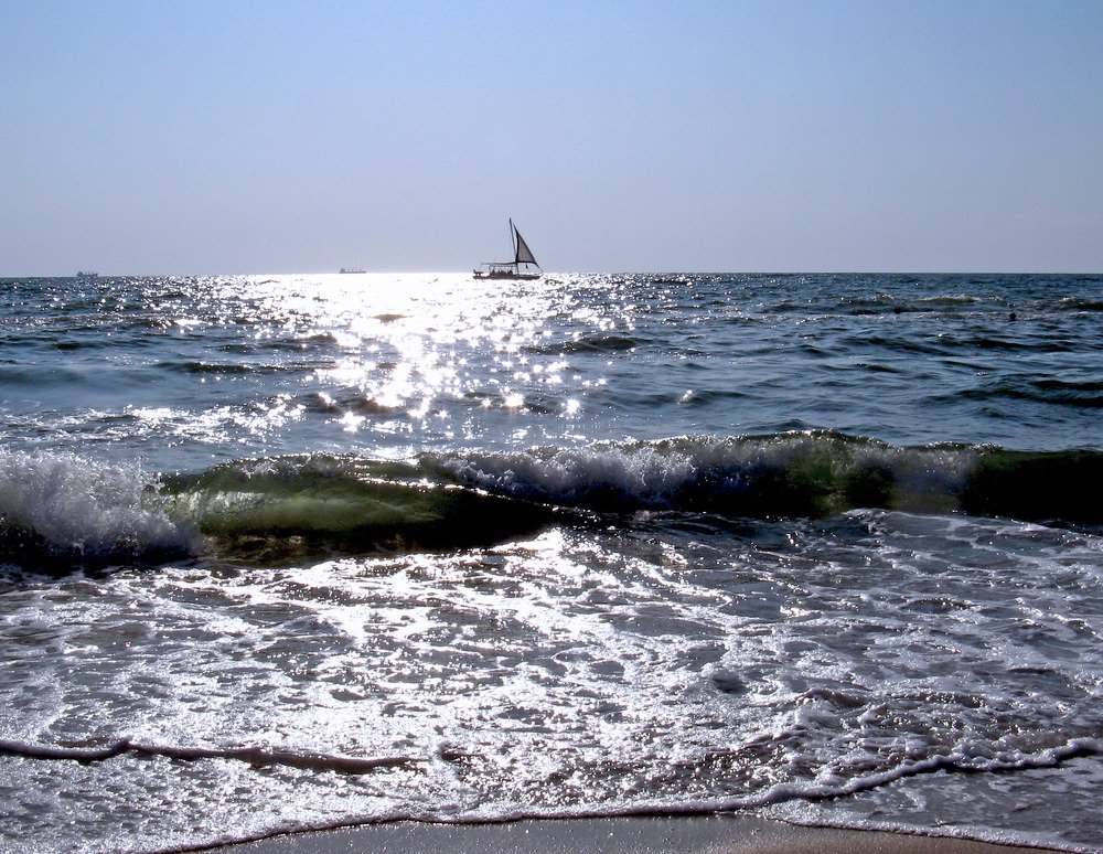 Photo #3571129
