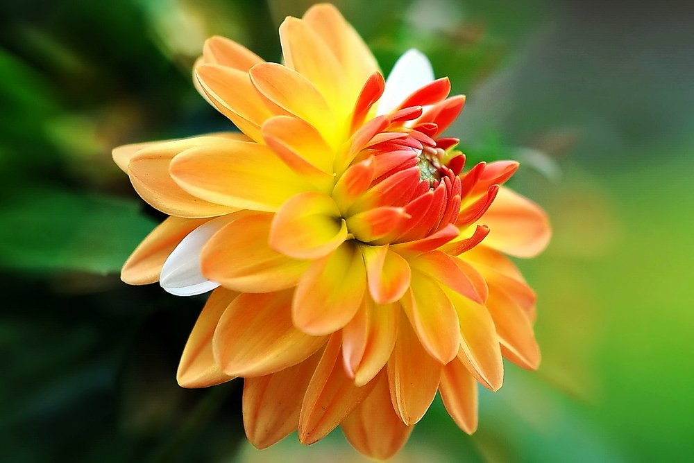 Фотография автора Razgulyaev Aleksandr