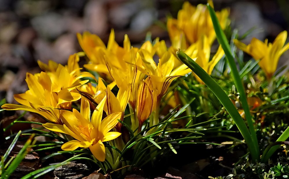 Фотография автора Razgulyaev Aleksandr