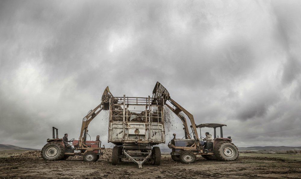 Photograph by abdolmoeed (hiwa) Maroufi