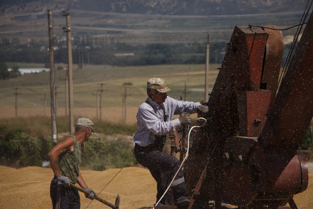 Photograph by Натали Чалык