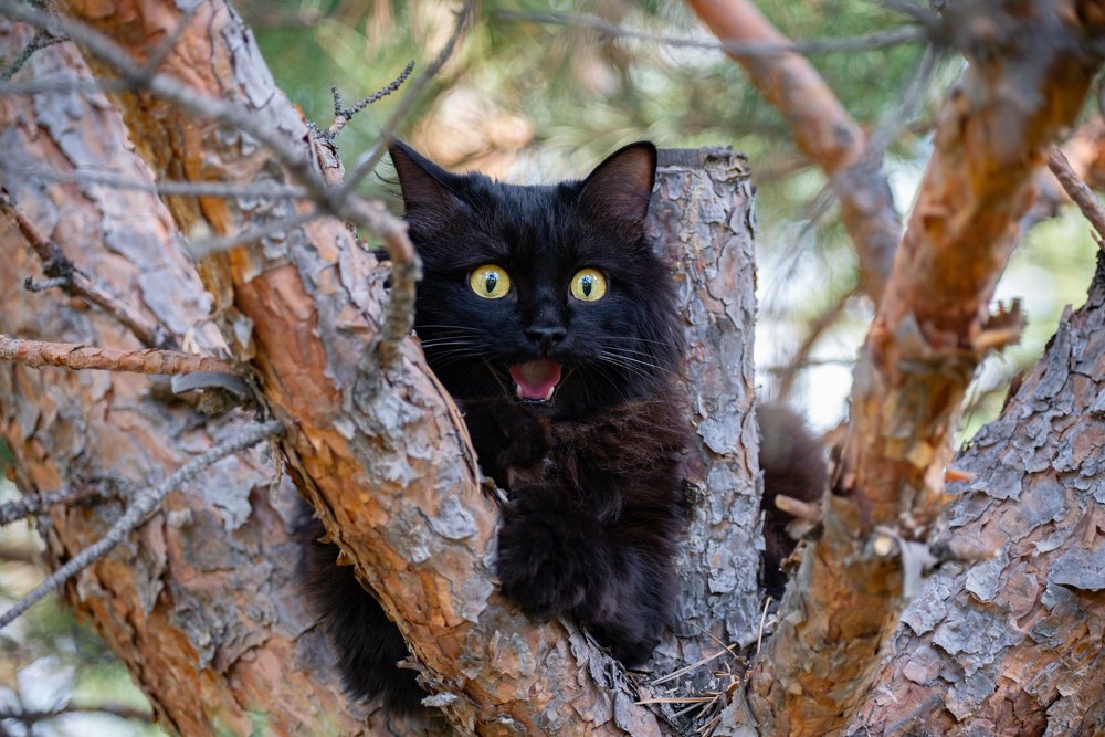 Photograph by Станислав