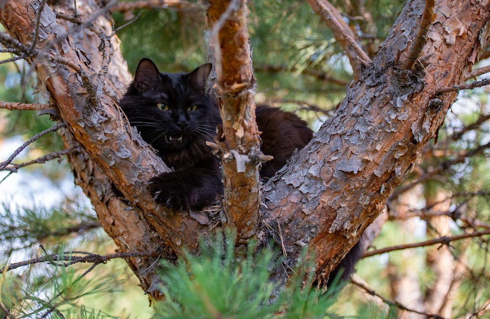 Photograph by Станислав