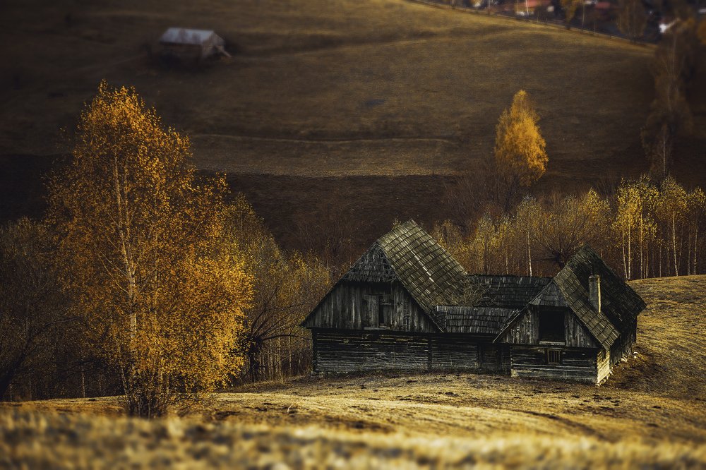 Photograph by Dumitru Ana